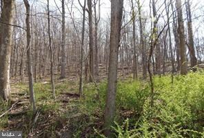 Lot 3 Spicy Cedar Ln, Berkeley Springs, WV 25411