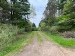 0 Fern Grove Unit 10 Acres 201818748, Harrisville, MI 48740