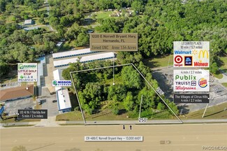 1220 E Norvell Bryant, Hernando, FL 34442