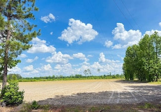 0 Tbd Sandhill Rd Unit LotWP00A, Marion, SC 29571