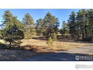 0 Fox Acres Dr E Unit RECIR1001394, Red Feather Lakes, CO 80545