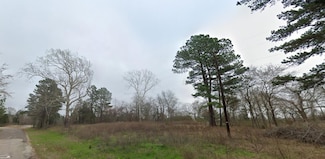 13015 County Road 217, Overton, TX 79323