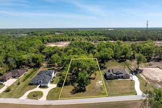 7041 Norne Ln, Mount Dora, FL 32757