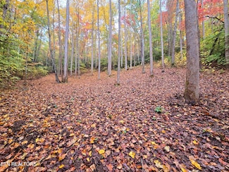 0 Cara Way Unit 1305649, Cosby, TN 37722