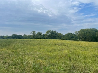 0 Main St, Mosses, AL 36040