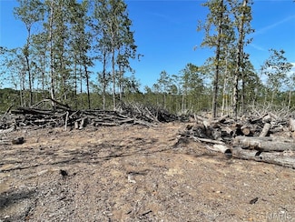 000 Missouri 34, Piedmont, MO 63957