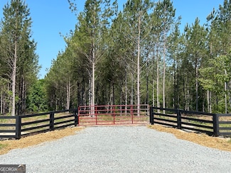 0 Dewey Thomas Rd Unit LOT 12 10311312, Dexter, GA 31019