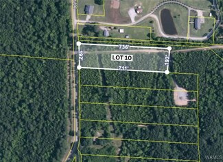 9&10 John Swindle Rd, Northport, AL 35475