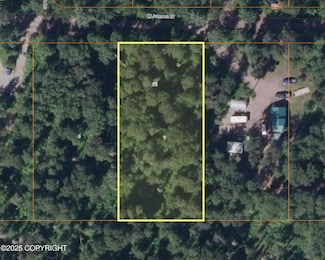 24100 W Johnson Dr, Willow, AK 99688