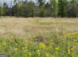 0 Main Trail Unit 10385280, Midway, GA 31320