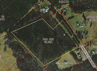 320 Ernest Turner Rd, Fork, NC 27589
