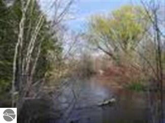 Lot#5 Betsie River Dr Unit 5, Thompsonville, MI 49683