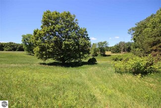 0 Wylie Mill Ln, Grawn, MI 49637