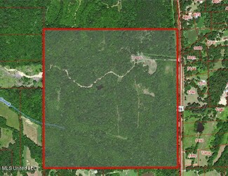 5123 U S 51, Hernando, MS 38632