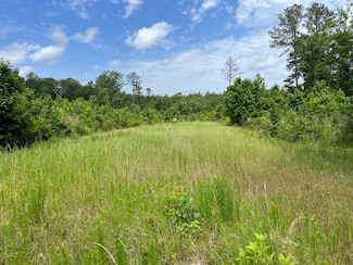 333 Yoakum Rd Unit LotWP001, Trout, LA 71371