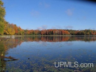 2 acres Sucker Lake Rd, Watersmeet, MI 49969