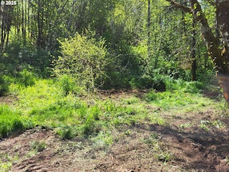 0 Salmon River Hwy Unit 681842098, Grand Ronde, OR 97347