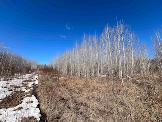 TBD Nordstrom Rd, Iron River, MI 49935