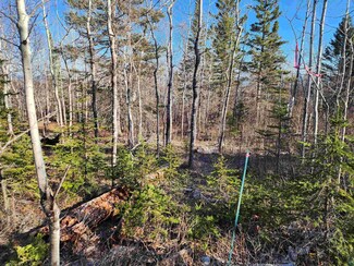 56XX-B Minnesota 61, Lutsen, MN 55612