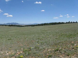 1313 Superstition Trail, Hartsel, CO 80449