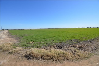 TBD County Road 160, Taylor, TX 78634