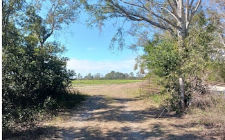 TBD 160th St, Dowling Park, FL 32060