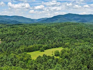 110 Gibbs Rd, Steeles Tavern, VA 24476