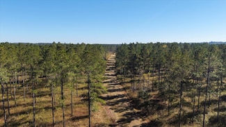 0 Mahan Dr Unit 392955, Tallahassee, FL 32309