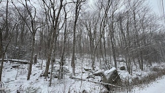 0 Bergrucken Ln, Readsboro, VT 05350