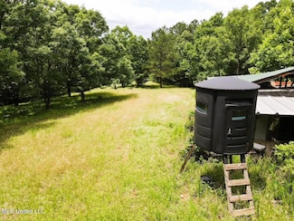 Tbd Pepper Town Rd, Tomnolen, MS 39744