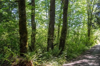 63 290th Ave NE, Carnation, WA 98014
