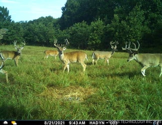 36293 S 565 Rd, Jay, OK 74346