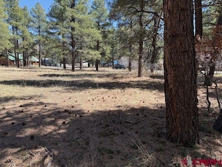 174 Oakwood Cir, Pagosa Springs, CO 81147