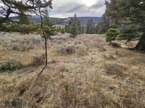 TBD1 Castletown Rd, Martinsdale, MT 59053