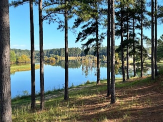 2809 Attala Rd 4975 Unit 153 acres, Sallis, MS 39160