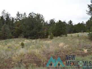 157 Forest, Ramah, NM 87321