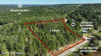 0 Blackberry Ridge Rd, Empire, AL 35063