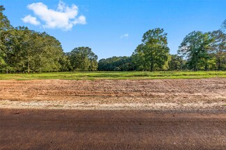 6052 Alans Memorial Ln, New Waverly, TX 77358