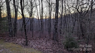 0 Tbd Sorrel Ln, Sapphire, NC 28774