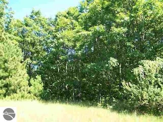 Lot 9 Torch Hills Ln, Rapid City, MI 49676