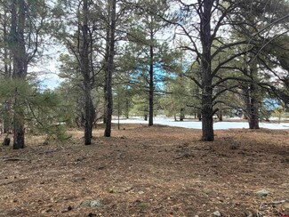 423 Monte Vista Dr, Pagosa Springs, CO 81147