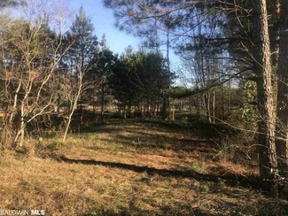 38 Dogwood Fork Rd, Bay Minette, AL 36507