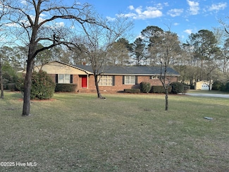 217 Summertree Ct, Clinton, NC 28328
