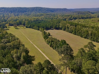 8821 Serene Dr, McCalla, AL 35111