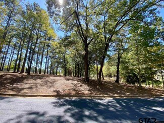 Lot 27 Leisure Ln, Frankston, TX 75763