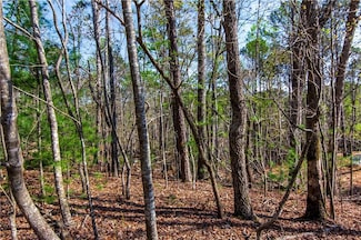 1.02 Monitor Dr, Ellijay, GA 30540