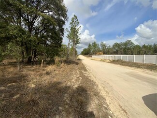 0 SE 148 Ave Unit MFRS5080849, Williston Highlands, FL 32696