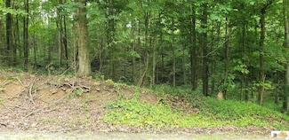 0 Pine Ridge Rd, Bonnieville, KY 42713