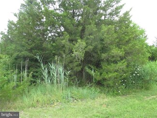 0 Passwaters Dr Unit 525 1001566266, Slaughter Beach, DE 19963