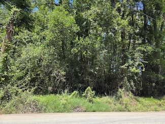 Lot 6 Hill Branch Rd, Ridgeville, SC 29472